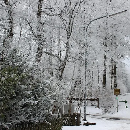 דירה Angela באד מריינברג