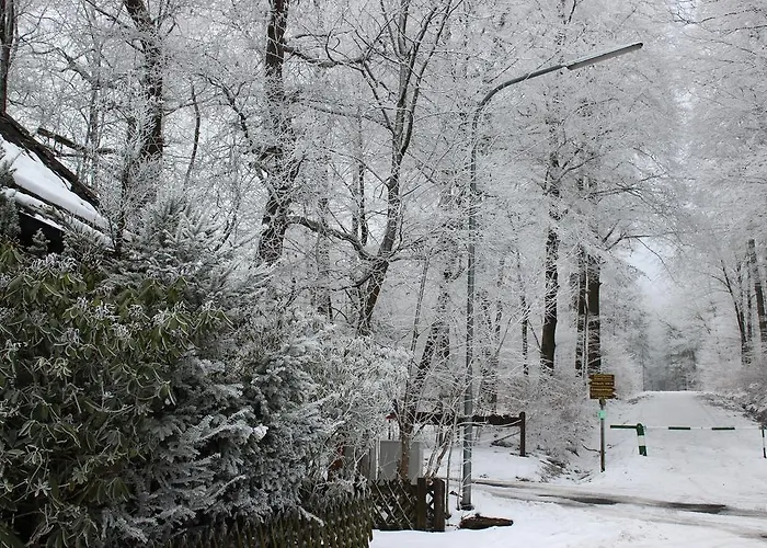 דירה Angela באד מריינברג