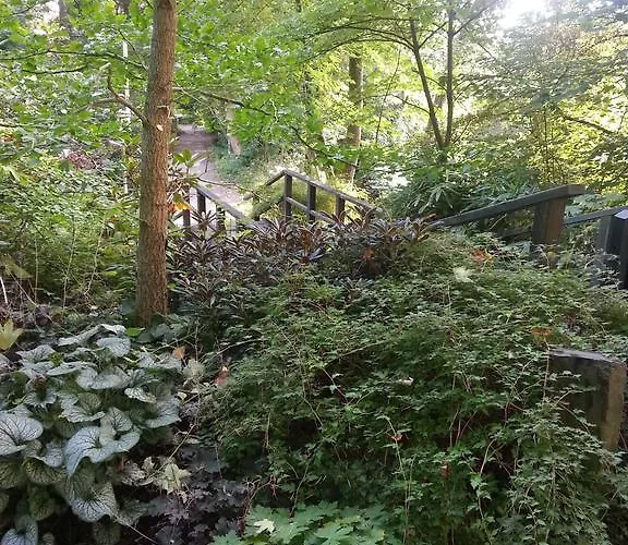 Angela באד מריינברג