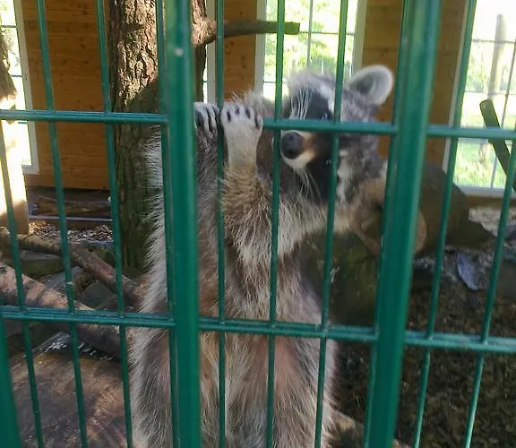 דירה Angela באד מריינברג