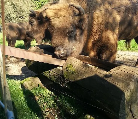 דירה Angela באד מריינברג