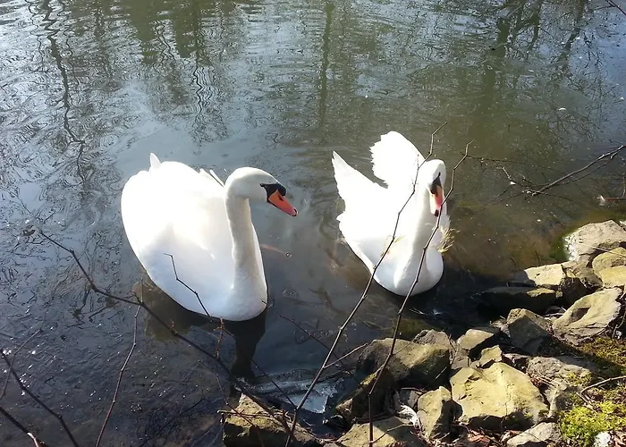 Апартаменты Angela